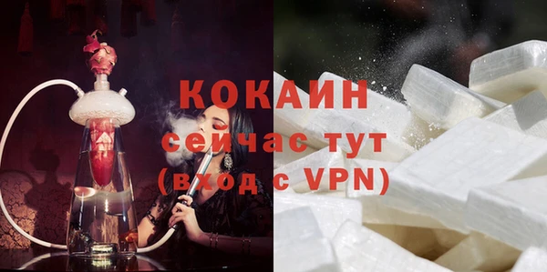 сатива Бронницы