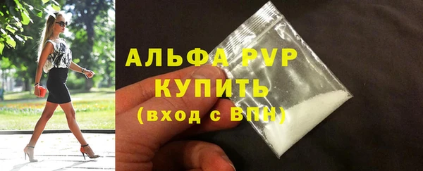сатива Бронницы