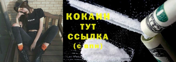 сатива Бронницы