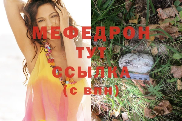 винт Бородино