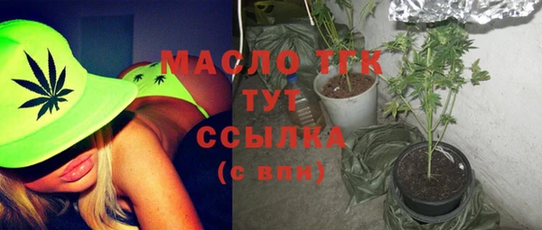 сатива Бронницы