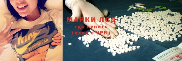 винт Бородино