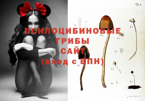 сатива Бронницы